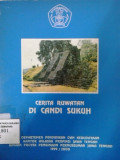 Cerita ruwatan di candi sukuh