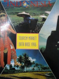 Indonesia: tourism market data base 1996