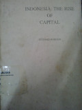 Indonesia : the rise of capital